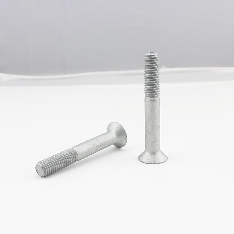80 ° Countersunk başı boltlar