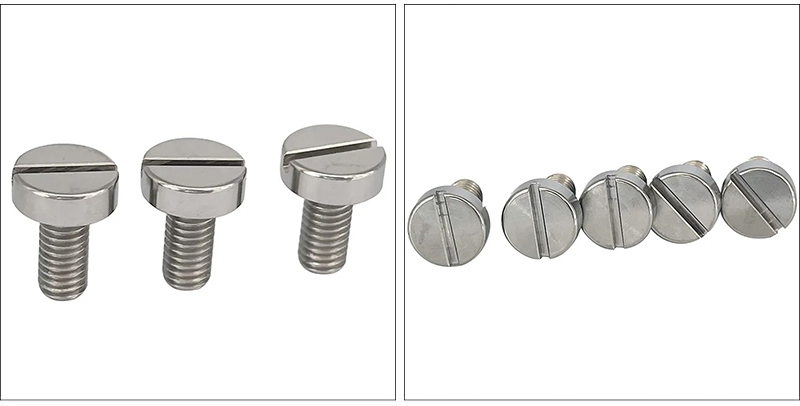 Standard Slotted Head Screws
