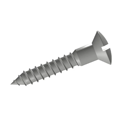 Slotted Rasion Countersunk Baş Taxta Vintlər
